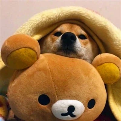 Anvi Chatterjee avatar