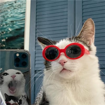 Priyanka Trivedi avatar