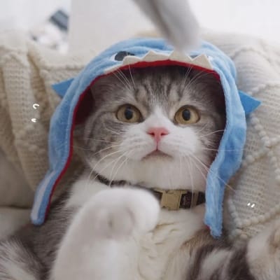 Ananya Mukherjee avatar