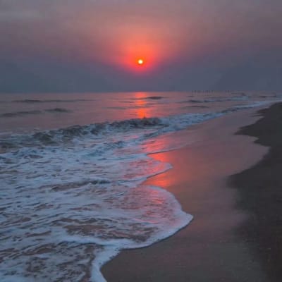 Aryan Chauhan avatar